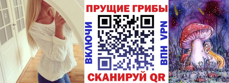 Галлюциногенные грибы Magic Shrooms  Хвалынск 